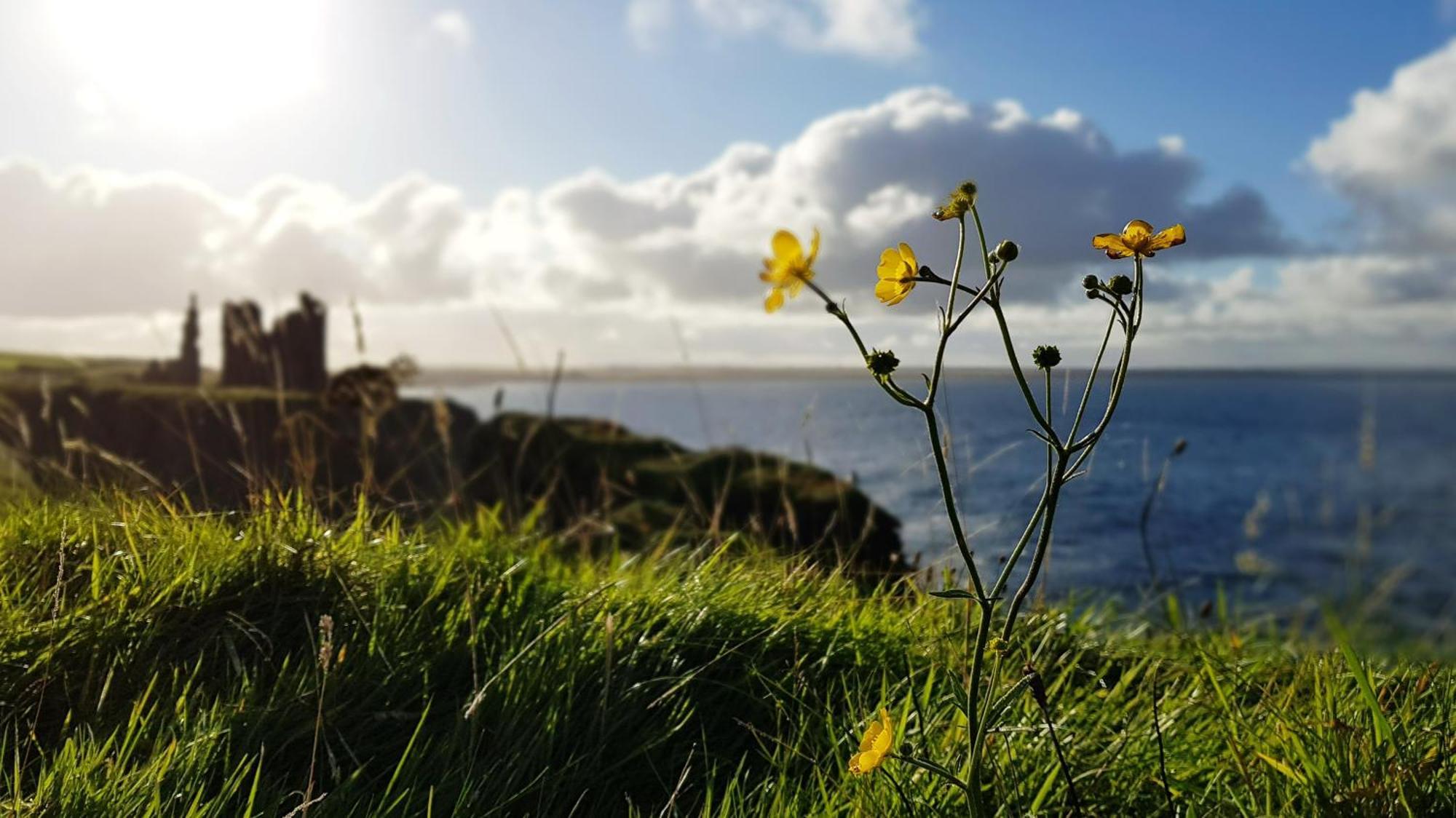 Self-Catering Lighthouse Keeper'S Cottage On The Nc500 Wick  Bagian luar foto